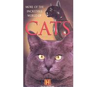 Incredible World of Cats V2 [Reino Unido] [VHS]
