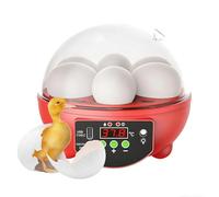Incubadora Automática 6-USB - Huevos Con Éxito En Casa | Pequeño Modelo Pantalla LED Temperatura & Humedad | Para Pollos Patos Codornices Palomas, Ventana Vista De 360°, Pedagógica Hierro