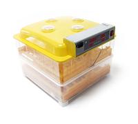 Incubadora automática capacidad para 96 huevos de gallina, aves de corral, pato, codorniz, reptil