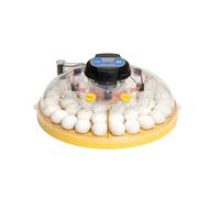 Incubadora BRINSEA Maxi 48 Advance - Incubadora para Huevos de Diferentes Especies de Ave - con volteo automático