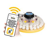 Incubadora Brinsea MAXI 48 Connect - Control Remoto desde el Móvil, Programación Digital de Temperatura, Humedad y Volteo, Enfriamiento de Huevos y