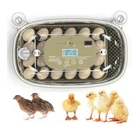 Incubadora de 24 huevos con giro automático de huevos, visualización de 360°, control de temperatura 68-104 ℉, recarga de botella de agua externa, para pollo, patos, ganso, paloma, codorniz y granja