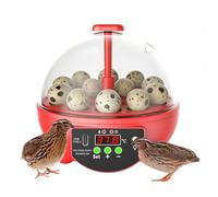 Incubadora de huevo de pollo - 6-Slot Poultry Candler, Clear Window Egg Hatching Incubator With Automatic Temperature And Humidity Control, Eggs Hatching Incubators | For Chickens Duck Quail Bird Farm