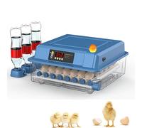 Incubadora de huevos automática, 15-48 huevos incubadora automática de huevos, con volteo automático de huevos y humidificación automática, incubadora para huevos de gallina, codorniz, pato (36
