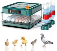 Incubadora de huevos automática, 24/36 huevos incubadora de huevo, humidificación por atomización ultrasónica, volteamiento automático de huevos, incubadora de huevos (B-36 Huevos)