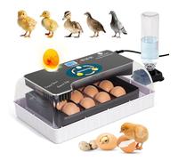 Incubadora de Huevos Automática, Criadora de 12 Huevos con Volteo Automático y Control de Humedad, Incubadoras para Incubar Huevos, Pollos, Patos, Gansos, Codornices, Loros