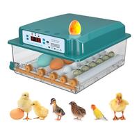 Incubadora de huevos con giro automático, control de temperatura y humedad, reposición de agua, 5 modos de incubación, adecuada para huevos de codorniz, pato y gallina, capacidad para 120 huevos