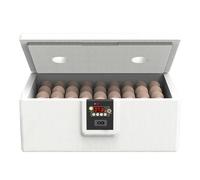 Incubadora de huevos de gallina | Incubadora de huevos de tortuga de 10 a 25 huevos | Caja de aislamiento inteligente de cobertura completa para aves de corral de granja reptiles para el hogar, pato