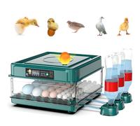 Incubadora de Huevos, Incubadora de Huevos Automática, Incubadoras de Huevos para Incubar Huevos - 26 Huevos, Volteadora de Huevos Automática, Incubadora para Granja, Laboratorio, Aula de Ciencias 35