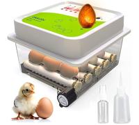 Incubadora Huevos Gallina 12 - Ideal para Todas Las Edades - Incubadoras de Huevos Automaticas - Volteo Automático y Control de Humedad -Ovoscopio Integrado - Okköbi Obi-12 - Blanco Verde