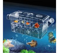 incubadora para incubadora de acuarios: cámara de Aislamiento de cría de | Peces de acrílico Transparente, contenedor Protector para guardería para alevines recién Nacidos y Soporte para la eclosió