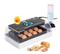 Incubadoras de Huevos para Incubar Huevos, Incubadora de 12 Huevos con Volteo Automático de Huevos y Control de Humedad, Incubadora de Huevos para Incubar Huevos de Pollito, Pato, Codorniz, Ganso