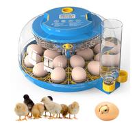 Incubadoras para incubar huevos, incubadora de 18 huevos con giro automático de huevos y control de humedad, vista de 360°, incubadora de Huevos de Gallina, vela de huevos, incubadora para huevos de
