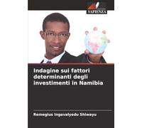 Indagine sui fattori determinanti degli investimenti in Namibia