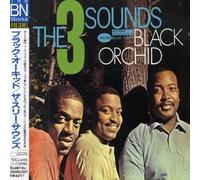 Indent - Black Orchid