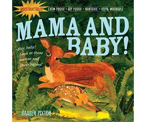Indestructibles: Mama and Baby!: Chew Proof · Rip Proof · Nontoxic · 100% Washable (Book for Babies, Newborn Books, Safe to Chew)