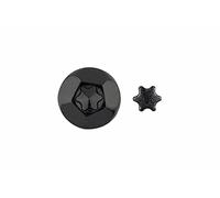 Index inv - Tornillo inviolable torx-40 cincado negro