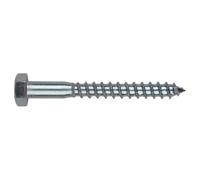 Index TB10070 - Tornillo tirafondo DIN 571 10x70