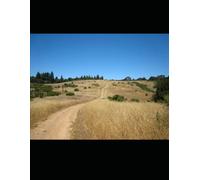 INDIA PEOPLE AND ECONOMY: LETS MASTER THE GEOGRAPHY OF CLASS XII-THE 01 HOUR STUDY GUIDE