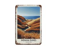 Indiana Dunes National Park - Póster de metal vintage para pub, club, cafetería, bar, decoración de pared para el hogar, póster retro de 20 x 30 cm