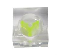 Indicador de flujo de agua a base de acrílico para monitorear la velocidad del refrigerante en configuraciones de bucle de refrigeración de agua roscada G1/4 (C)