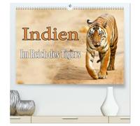 Indien - Im Reich des Tigers (hochwertiger Premium Wandkalender 2026 DIN A2 quer), Kunstdruck in Hochglanz: Auf Fotopirsch im indischen Dschungel, auf der Suche nach dem Tiger.