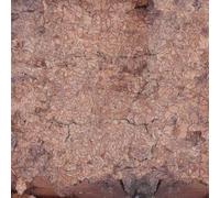 Indignant Senility - Consecration of the Whipstain [Vinilo]