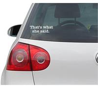 INDIGOS UG Pegatina Coche - Sticker - Auto - JDM - Die Cut - Thats What She Said Decal Car Truck Window Sticker - Plata - 149mm x40mm