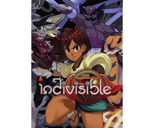 Indivisible Steam Key EUROPE