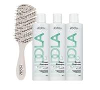 Indola Champú Reparador Pack 3 x 300 ml + Peine Regalo | Nutre y Repara