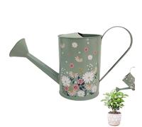 Indoor Watering Can - 2 Liter Vintage Style, Decorative Metal with Long Spout, Small Planter Tool with Comfortable Handle, Garden Can for Indoor Plants Flowers Succulents Herbs Potted Houseplants