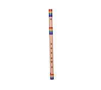 Indradhanush Flauta de bambú para profesional/aprendizaje/principiante bansuri de bambú (arco iris) (escala E de 15.5 pulgadas) por Indian Collectible