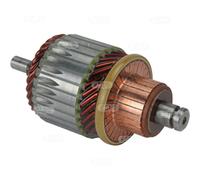 HC-Cargo F032335079 Inducido, motor de arranque