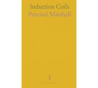 Induction Coils: How to Make and Use Them, a Practical Handbook on the Construction and Use, of Medical and Spark Coils