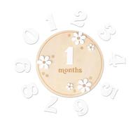 Infant Months Signs Wooden Circular Monthly Progress Age Marker Sign