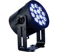 Infinity Raccoon P14/4