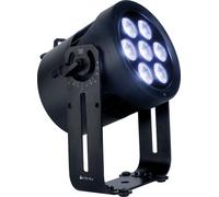 Infinity Raccoon P7/4