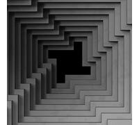 Infirmary / Unknown Summer [Vinilo]