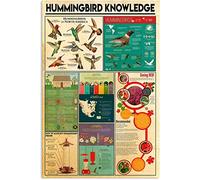 Infografía de colibríes, carteles de metal con información sobre colibríes, guía científica, placas para aulas, casas, habitaciones, decoración de pared, regalo interesante, placa de hierro, letrero