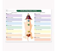 Infografía De Los 7 Chakras Para Mascotas, Póster Laminado De Los Chakras De Perros Y Gatos, Póster Sobre Técnicas De Bloqueo Y Sanación De Chakras En Animales, Pintura En Lienzo 40X60Cm Sin Marco