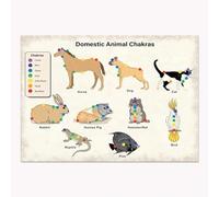 Infografía De Los 7 Chakras Para Mascotas, Póster Laminado De Los Chakras De Perros Y Gatos, Póster Sobre Técnicas De Bloqueo Y Sanación De Chakras En Animales, Pintura En Lienzo 30X40Cm Sin Marco