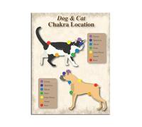 Infografía De Los 7 Chakras Para Mascotas, Póster Laminado De Los Chakras De Perros Y Gatos, Póster Sobre Técnicas De Bloqueo Y Sanación De Chakras En Animales, Pintura En Lienzo 40X50Cm Sin Marco