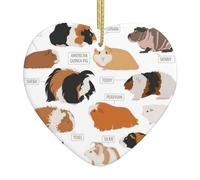 Infografía para tipos de razas de roedores, adorno de Navidad, decoración del hogar, regalos para Navidad, decoración de cerámica en forma de corazón