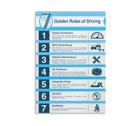 Infographic Poster Road Safety Driving Laws