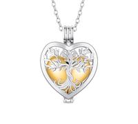 InfuMemo Collar de urna de cremación de corazón que se puede abrir, de acero inoxidable, colgante de ceniza, joyería de recuerdo, joyería de cremación para mujer, Acero inoxidable