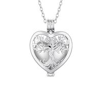 InfuMemo Collar de urna de cremación de corazón que se puede abrir, de acero inoxidable, colgante de ceniza, joyería de recuerdo, joyería de cremación para mujer, Acero inoxidable