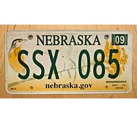 Inga 2012 Colorful Graphic Bird Nebraska Auto Matrícula SSX 085" Ne 12 Matrícula de 6 x 12 Pulgadas