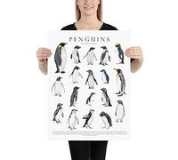 Inga Cartel de metal con diseño de Penguins Of The World Gicl¨¦e con ilustración de animales del océano lindo cartel para dormitorio retro Cafe Store de 8 x 12 pulgadas