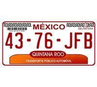 Inga México Quintana Roo - Placa de matrícula de 15,2 x 30,5 cm