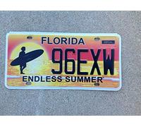 Inga Placa de matrícula de Florida Endless Summer de 15,24 x 30,48 cm
